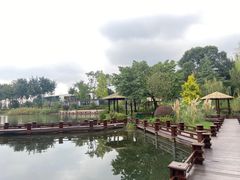 -成飞公园