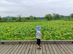 -道林古镇