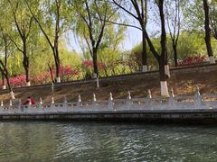 -皇家御河游(紫御湾码头)