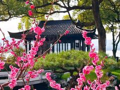 -杭州西湖柳莺里酒店