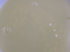 -宝瑞门钉肉饼店