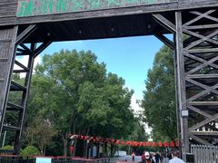 -溱湖国家湿地公园