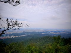-紫金山山顶公园