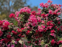 -国家植物园南园