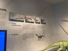 -自贡恐龙博物馆
