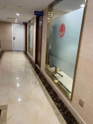 -碧莲盛·不剃发植发