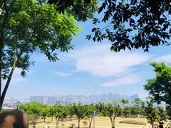 -小麦岛公园