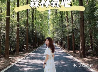 周末逃离城市 带着全家去氧吧深呼吸