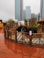 -三分地生态园·儿童乐园