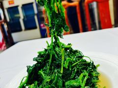 清炒豆尖-峨嵋酒家(地安门店)