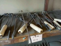 -北戴河集发农业梦想王国