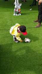 -萌宠亲子动物乐园(槐房万达店)