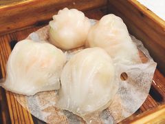 虾饺-金翠皇宫粤菜·点心·海鲜(科技园店)