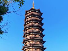 -葛仙湖公园