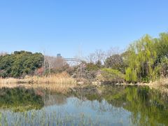 -澹台湖公园