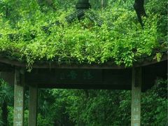 -虎跑公园