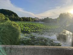 -石湖景区