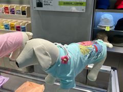 -HOWOW·D2Y(柏威年店)