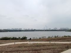 -海珠湖公园