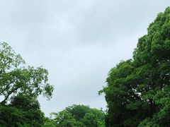 -桃花岛景观公园