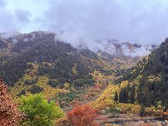 -九寨沟-树正沟