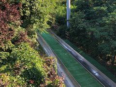 -富斯特索道