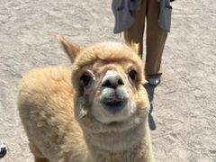 -杭州野生动物世界