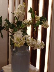 -茜尔维亚修身连锁(杨浦五角场店)