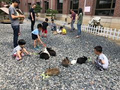 -同里湖大饭店-怡景轩中餐厅(同里古镇店)