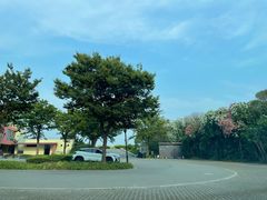 -南汇嘴观海公园