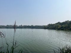 -西安浐灞国家湿地公园