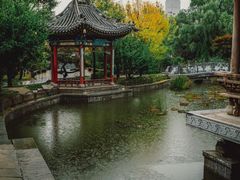 -迎泽公园