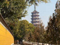 -高旻寺