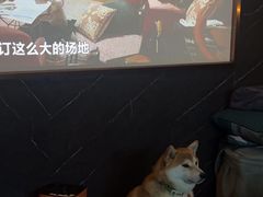 -舒沐雅阁·足浴SPA·小憩简餐(德阳店)