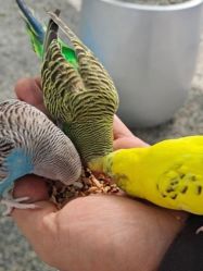 -萌宠亲子动物乐园(槐房万达店)