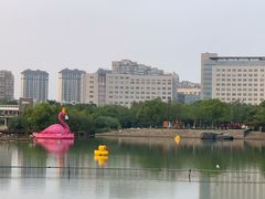 -青枫公园