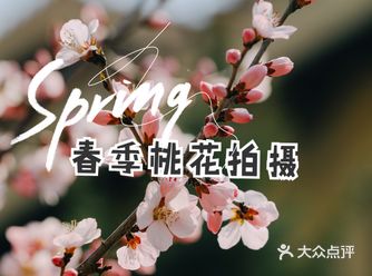 选址：首先地理位置一定要选择桃花矮一些的，这样景深可