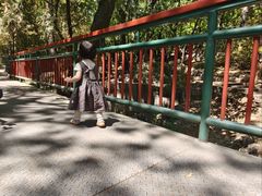 -红螺寺