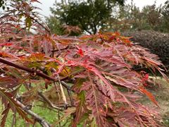 -玄武湖景区-情侣园游乐场