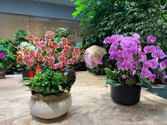 -双季花艺园艺市场(浦东店)