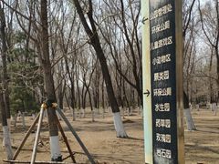 -长白岛森林公园