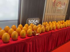 -索菲亚衣柜橱柜全屋定制(真北红星店)