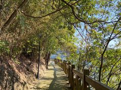 -广州市流溪河国家森林公园