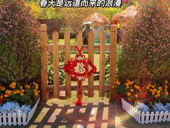 -野狸岛