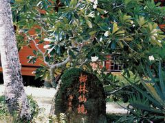 -东郊椰林