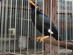 -大叔家福鼎小吃(十全街店)