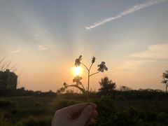 -白沙门生态公园