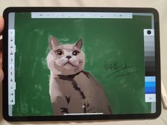 -Apple零售店(华贸购物中心店)