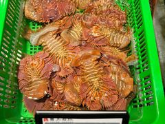 -甬上名灶(天一阁·翠柏店)