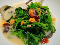 上汤菠菜苗-徐记海鲜(南油永新汇店)